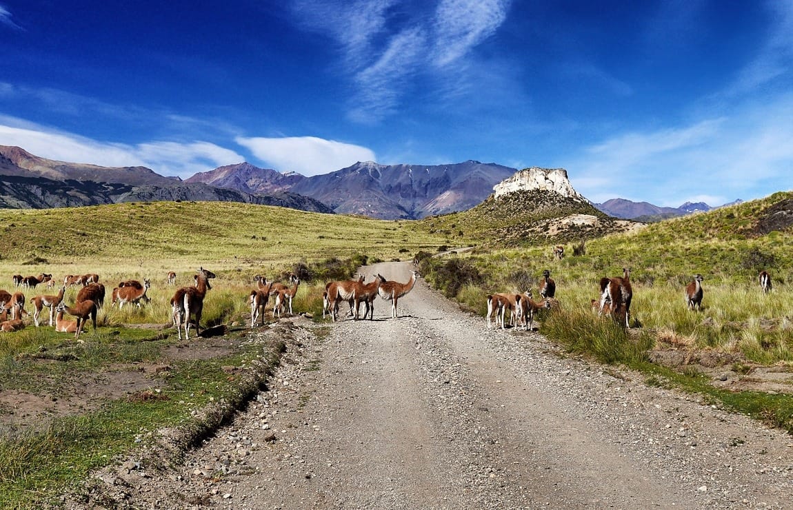 Карретера Аустраль Чили - самая красивая