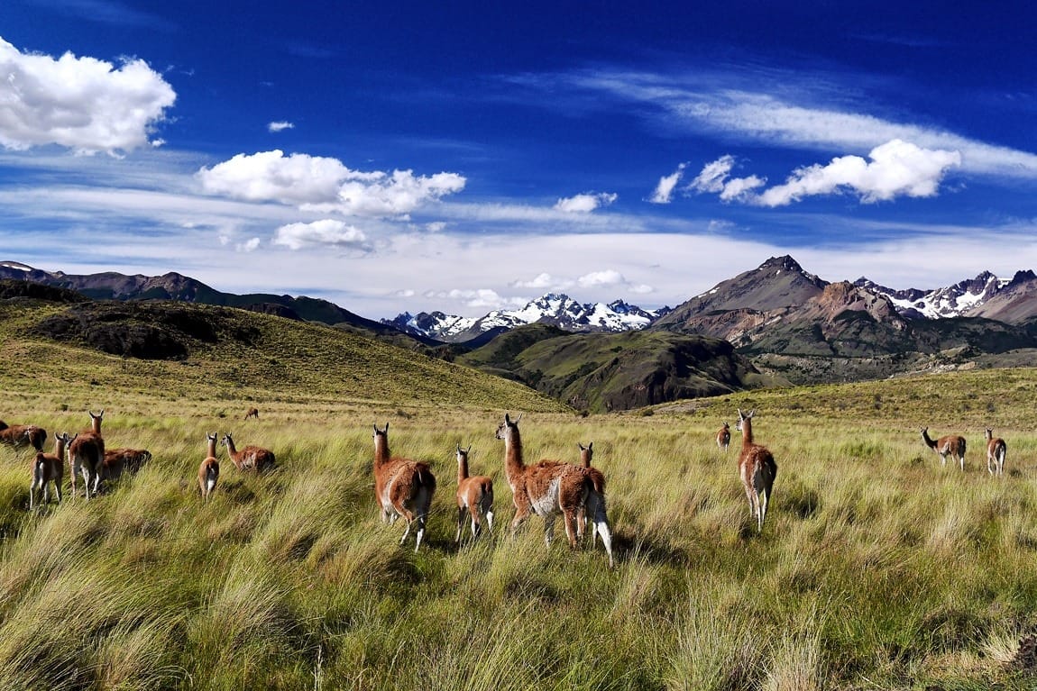 Карретера Аустраль Чили - самая красивая