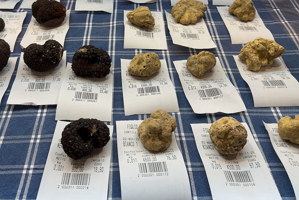 Что попробовать в Пьемонте