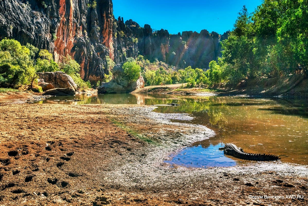 Windjana Gorge Кимберли Западная Австралия