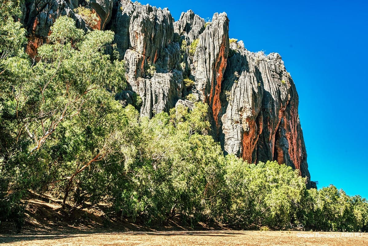 Парк Windjana Gorge Кимберли Западная Австралия