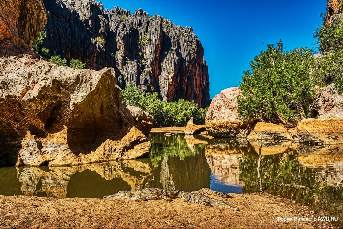 Windjana Gorge Австралия Kimberley WA