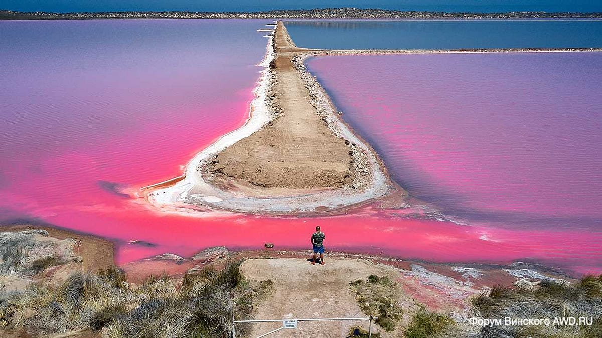 Розовое озеро Hutt Lagoon
