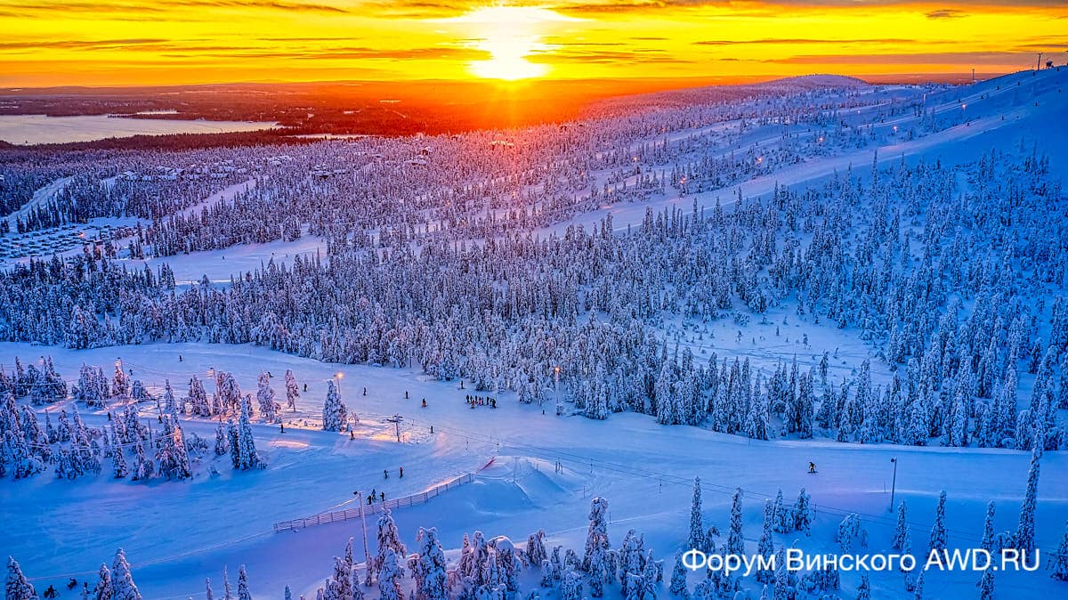 Рука скипас