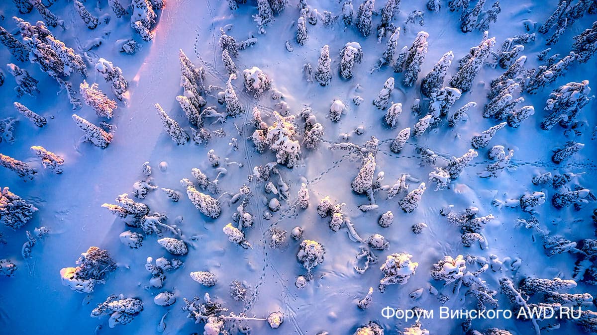 Рука Финляндия отзывы