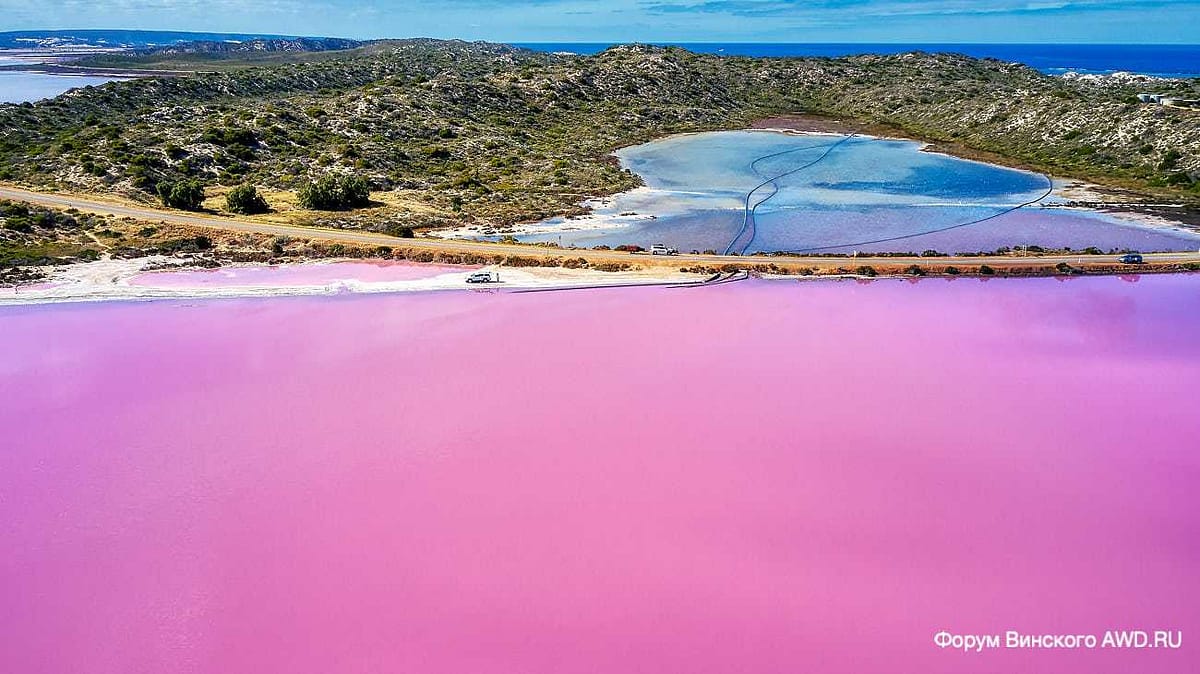 Розовое озеро Hutt Lagoon