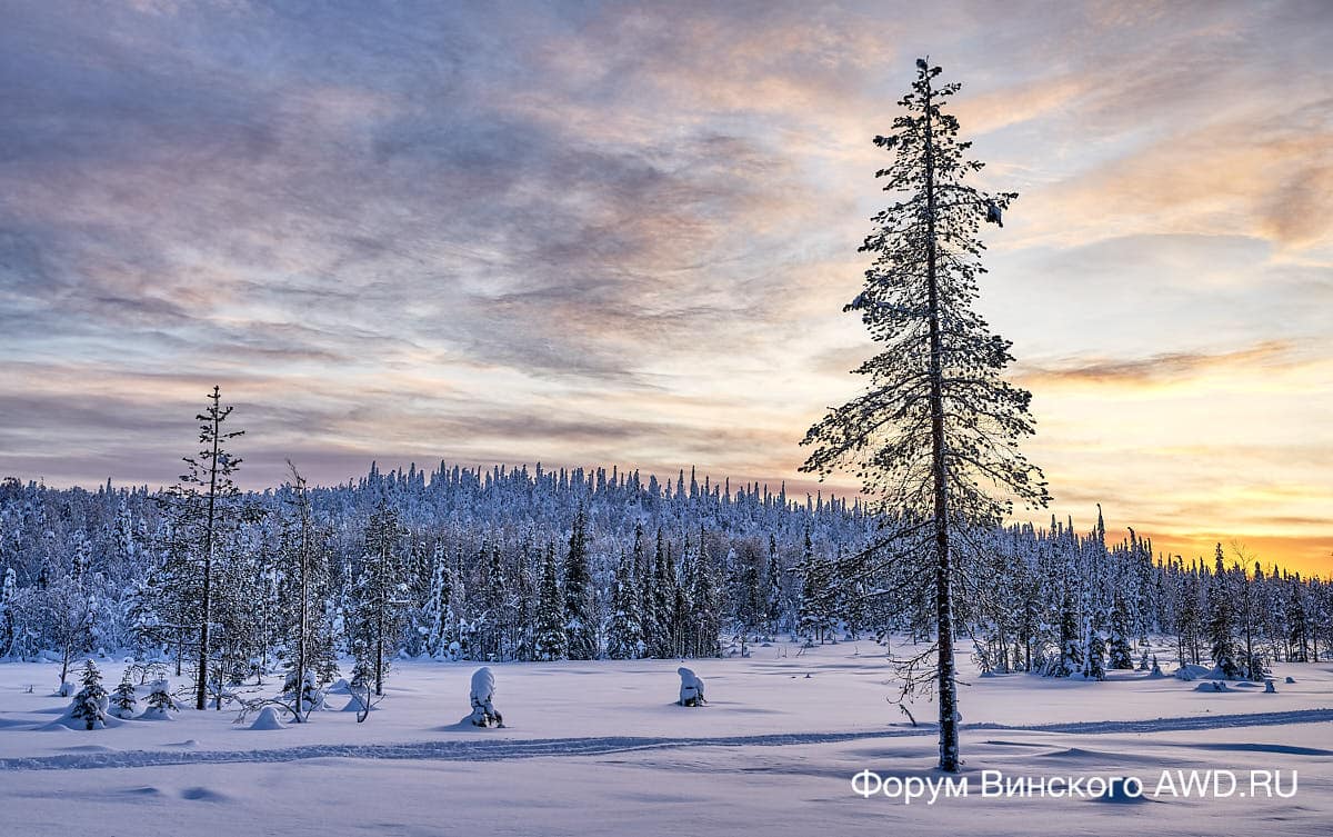 Финляндия отдых зимой