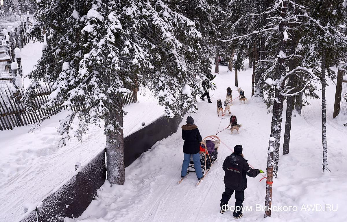 Что посмотреть рядом с Рука