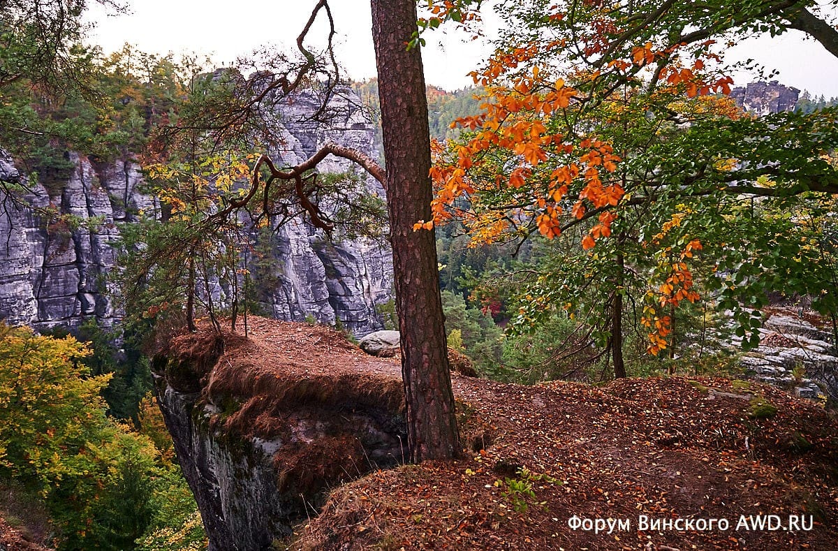 Бастай (Bastei) Саксонская Швейцария