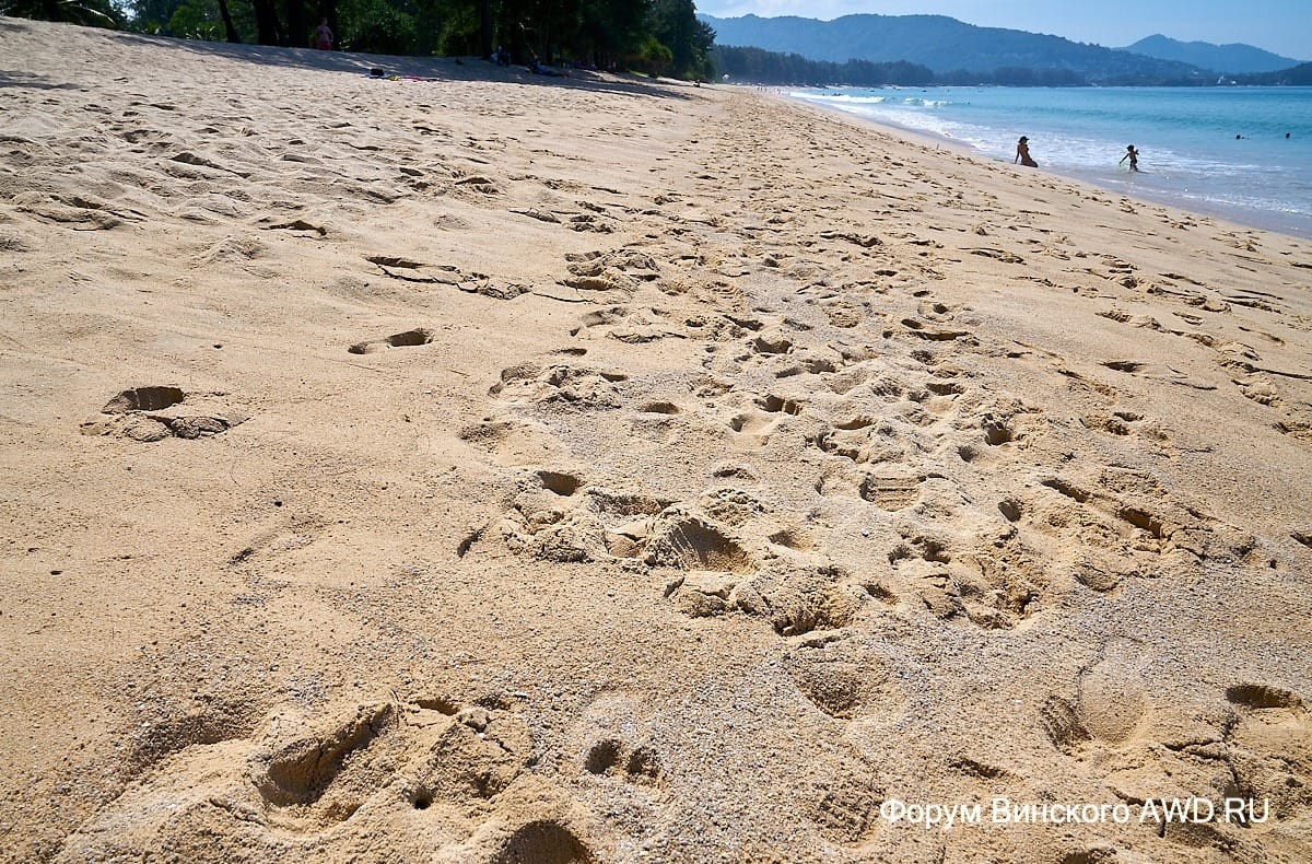 Пляж Банг Тао начале декабря