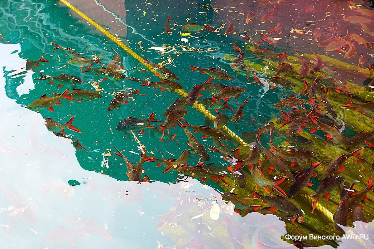 Озеро Чео Лан в парке Као Сок