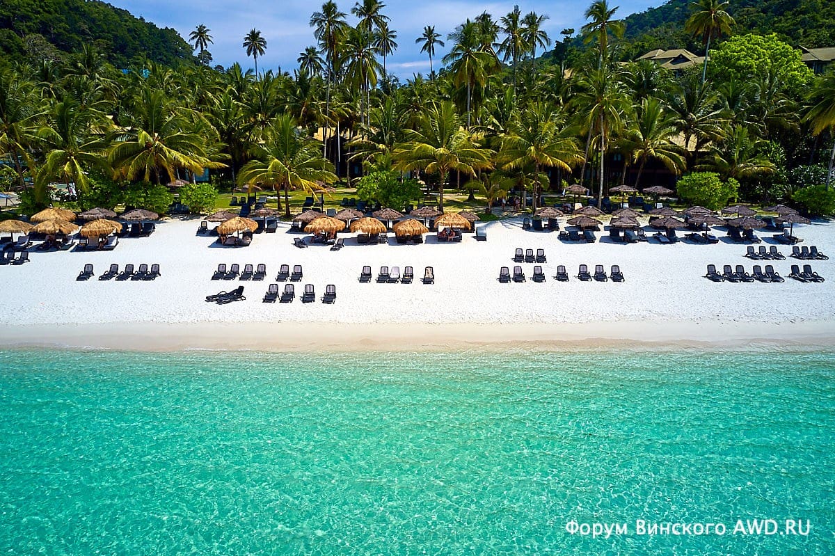 Реданг отзывы