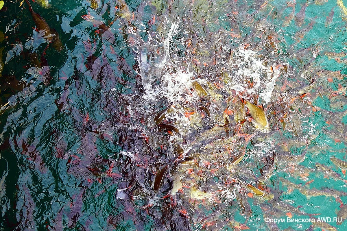 Озеро Чео Лан в парке Као Сок