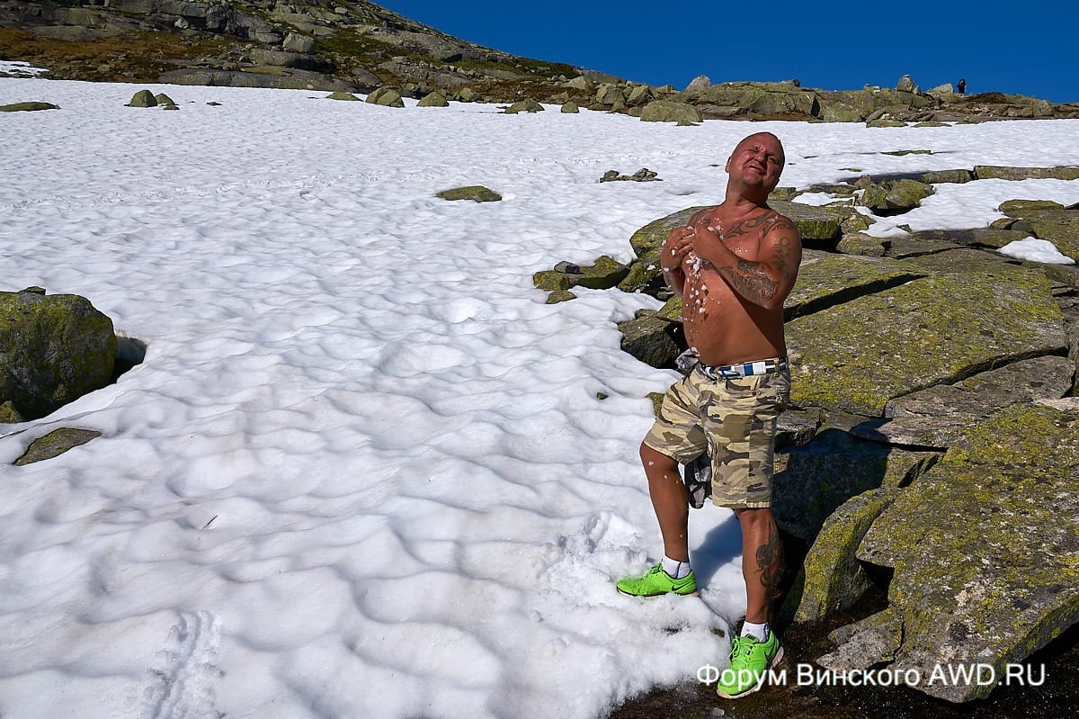 Язык Тролля отзывы 2018