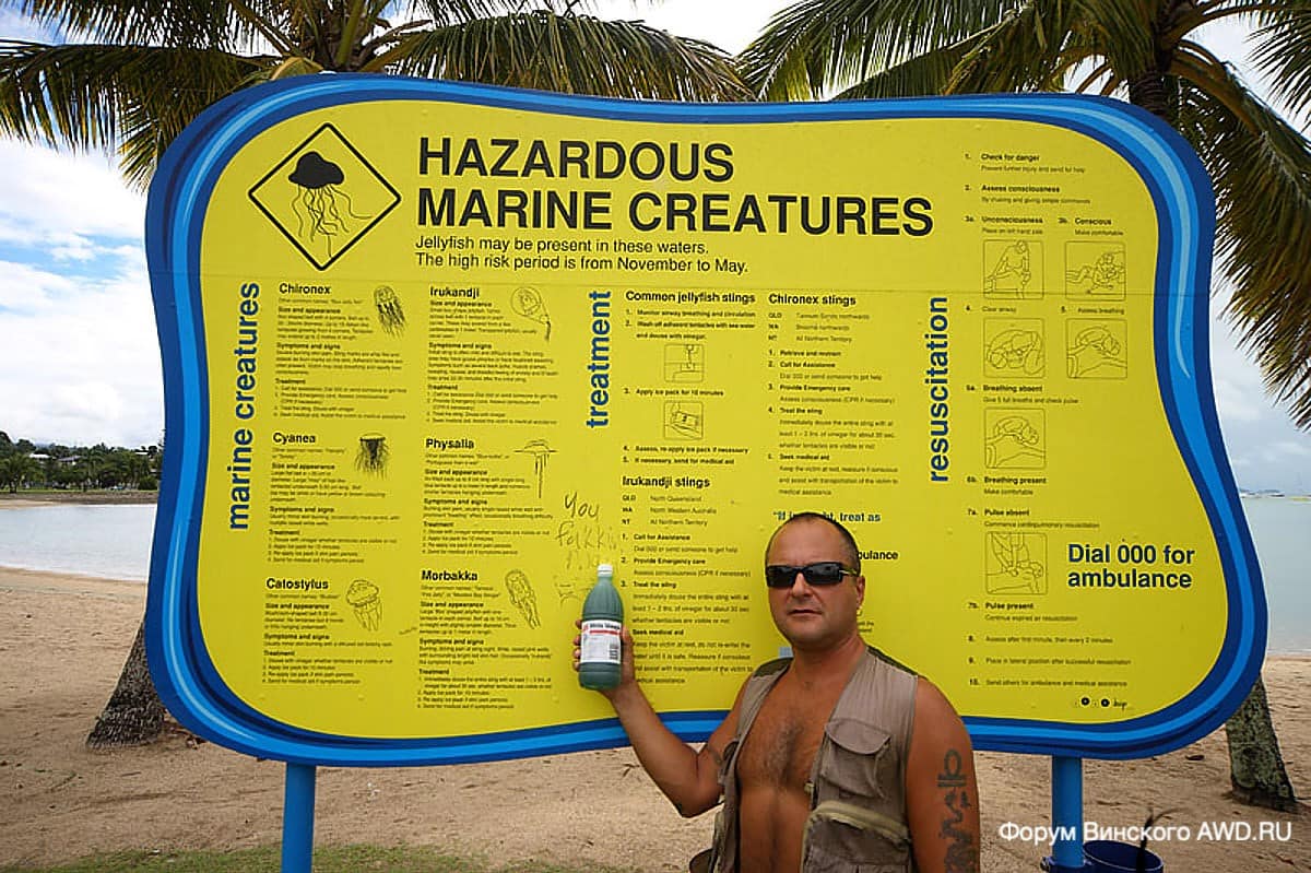 Кто кусается в море на Пхукете