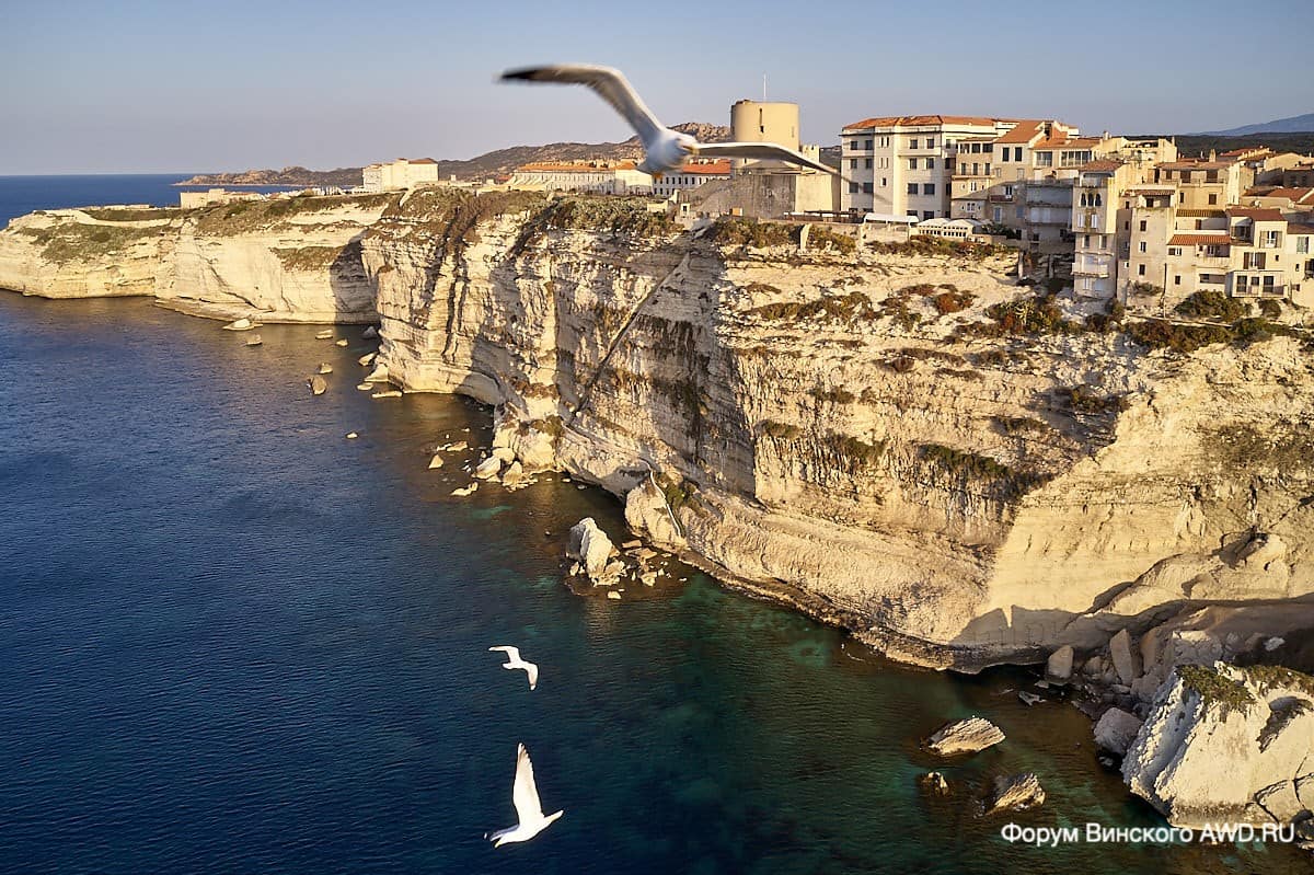 Бонифачо фото