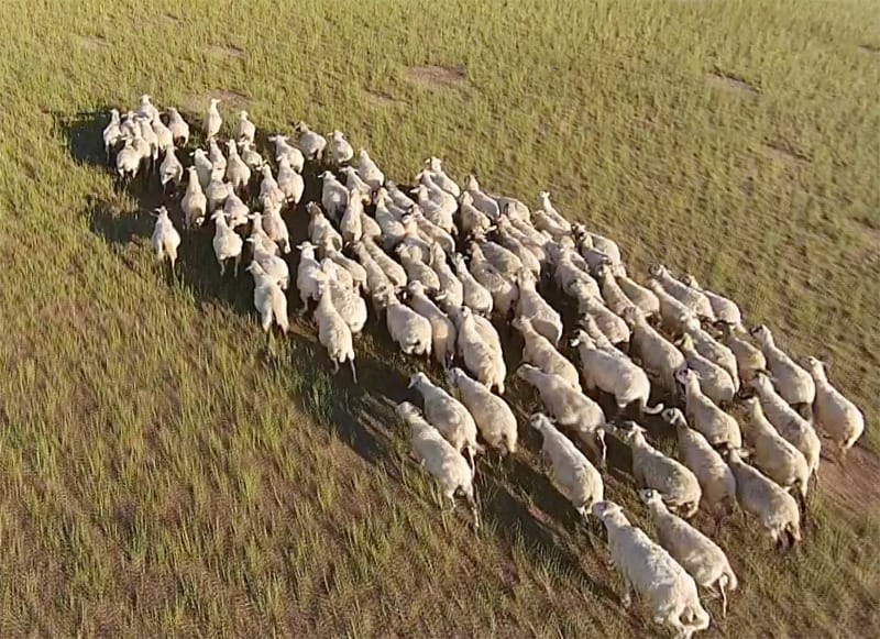 Кьянти Тоскана