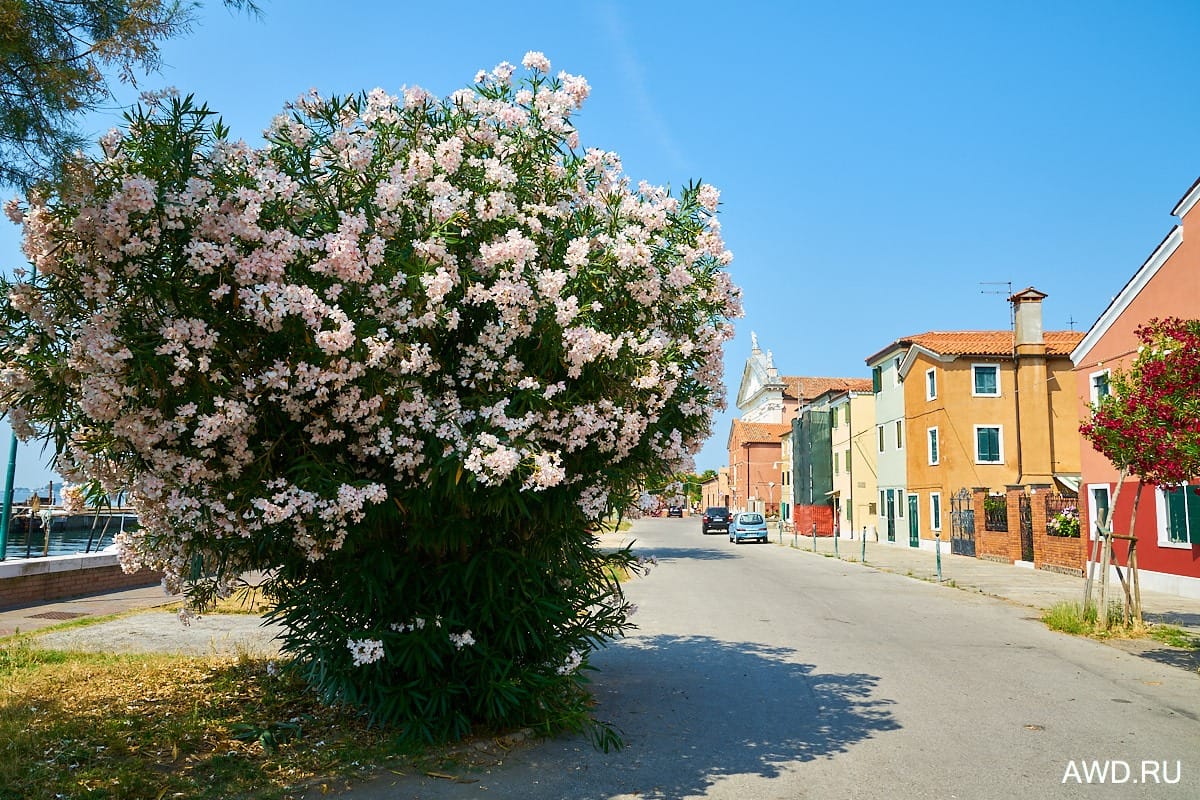 Марины и стоянки в лагуне Венеции