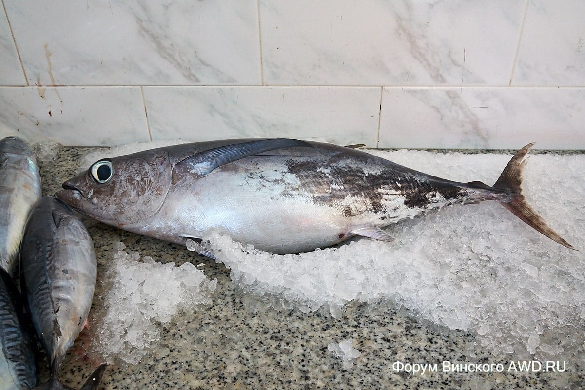 Баньяра Калабра отзыв