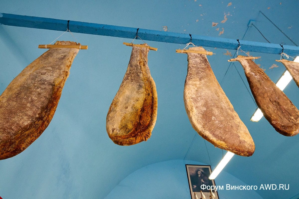 Пляжи Пиццо Калабрия