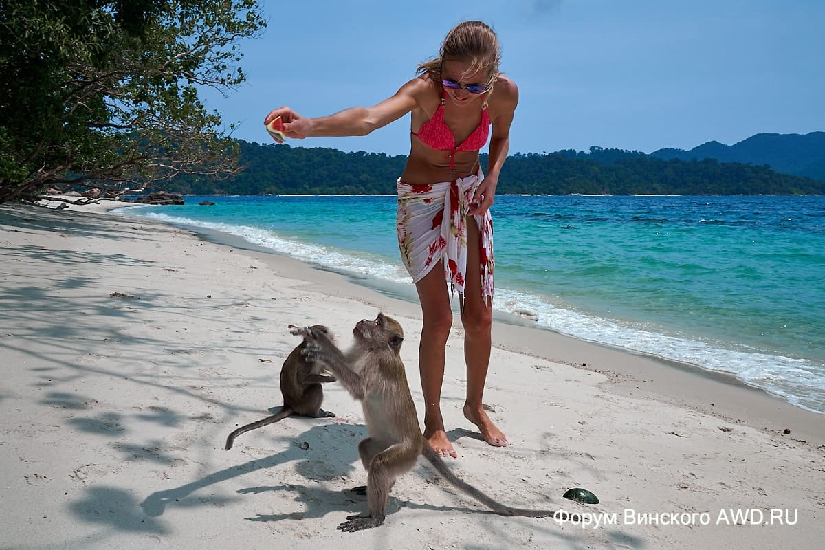 Ко Липе аренда лодки