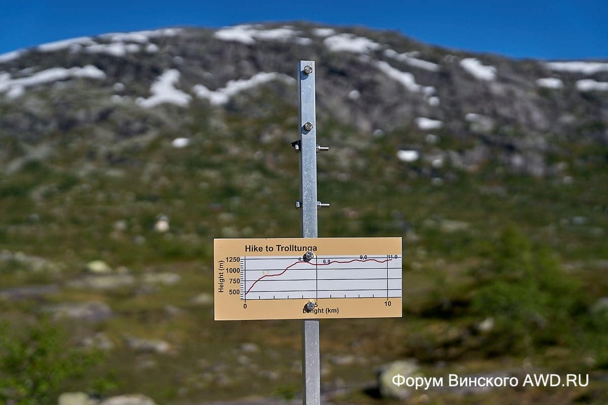 Язык Тролля отзывы 2018