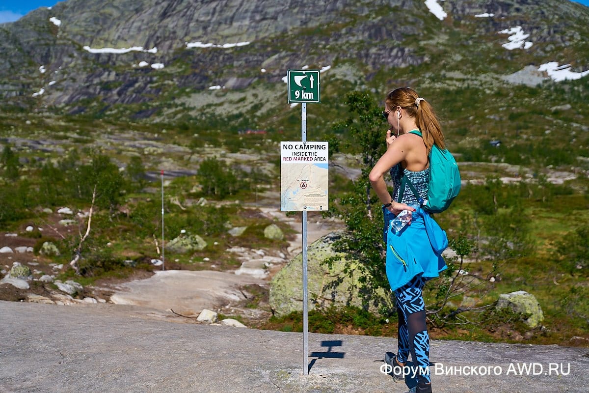 Язык Тролля отзывы 2018