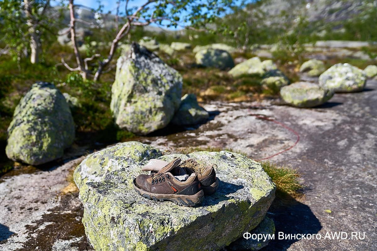 Язык Тролля отзывы 2018