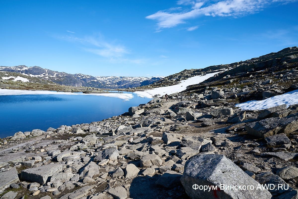 Язык Тролля отзывы 2018