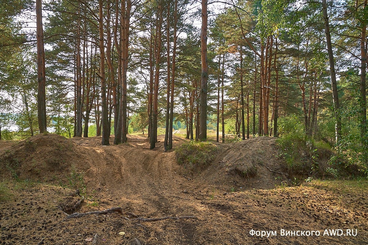 Во что превратили лес в Жостово