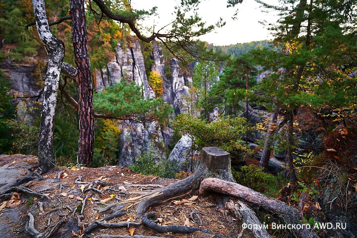 Бастай (Bastei) Саксонская Швейцария