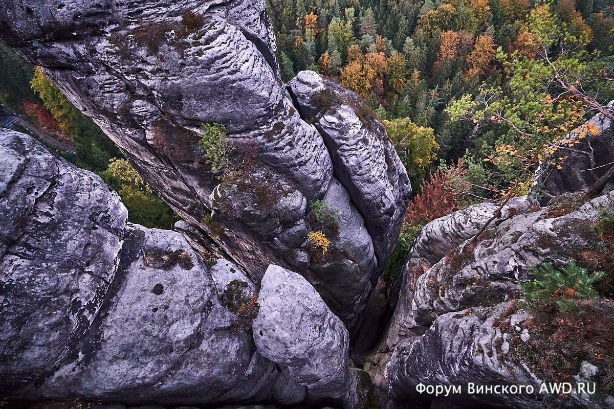 Бастай отзывы