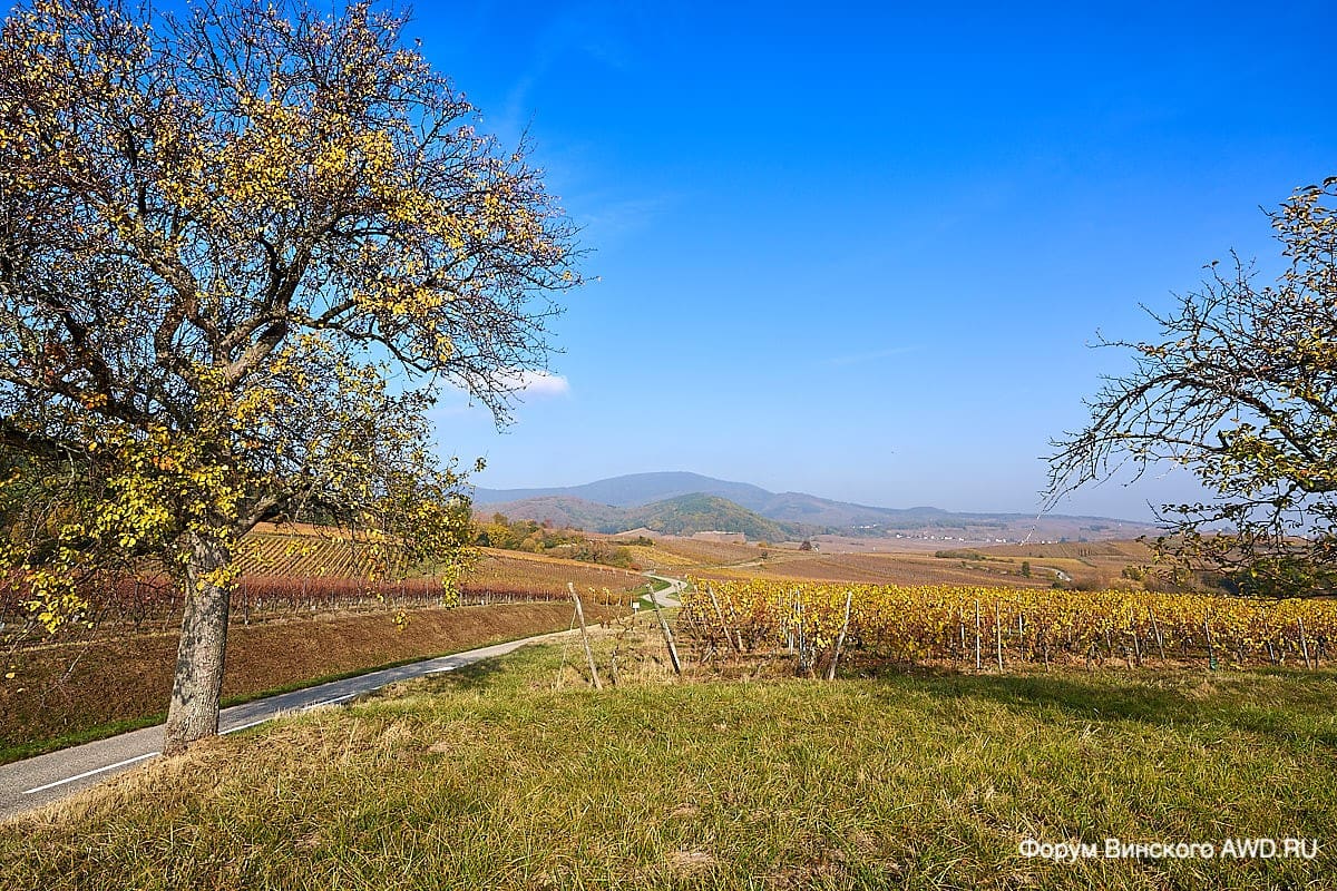 Замок Кенигсбург Эльзас