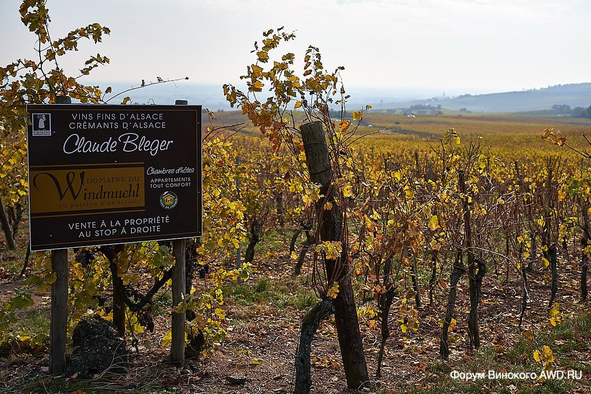 Замок Кенигсбург Эльзас