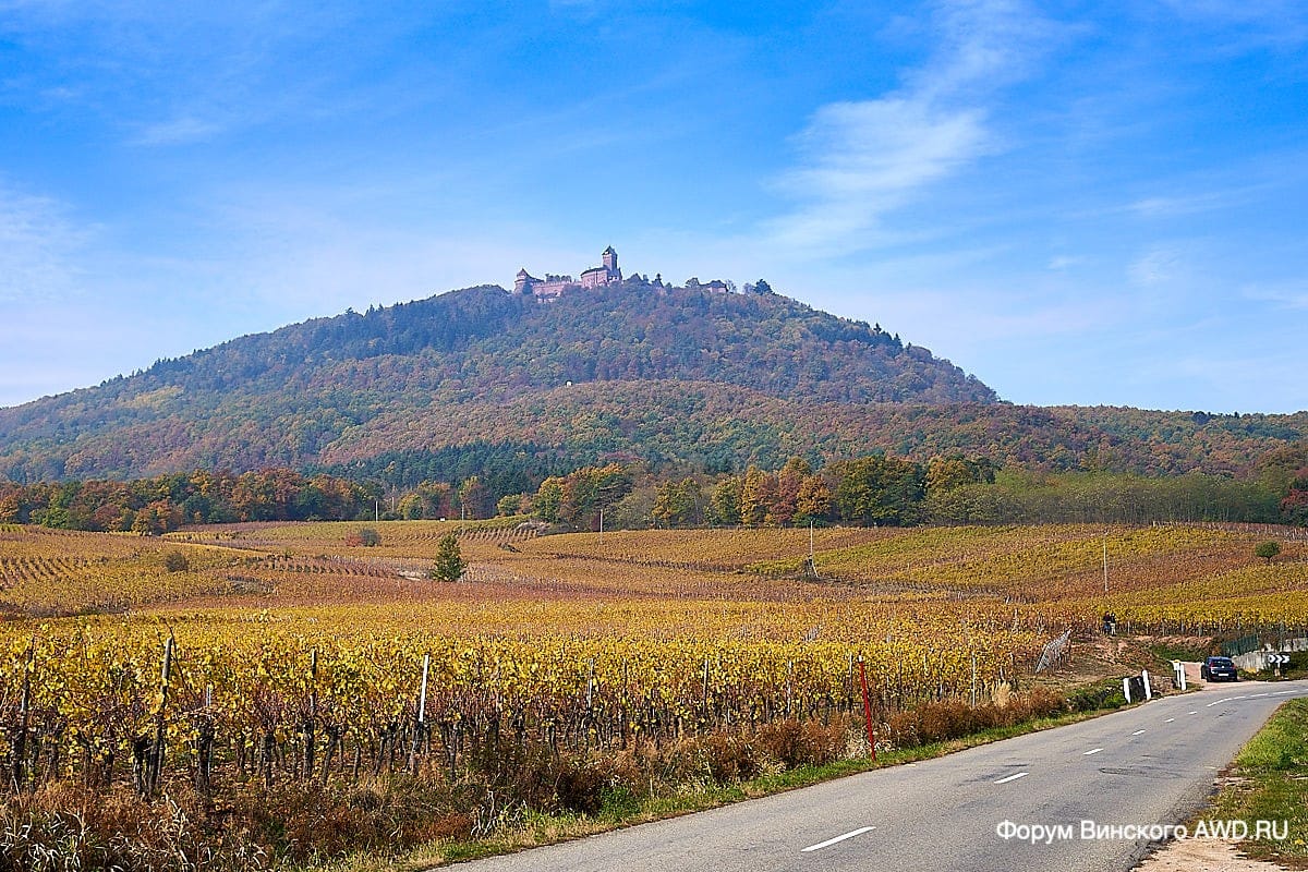 Замок Кенигсбург Эльзас
