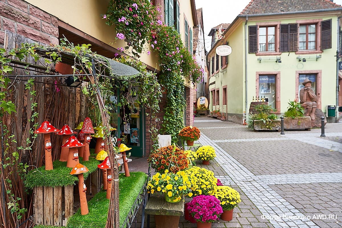 Рибовилле отзывы