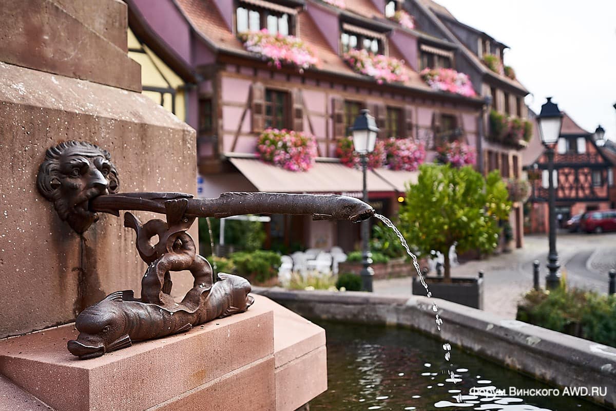 Рибовилле отзывы