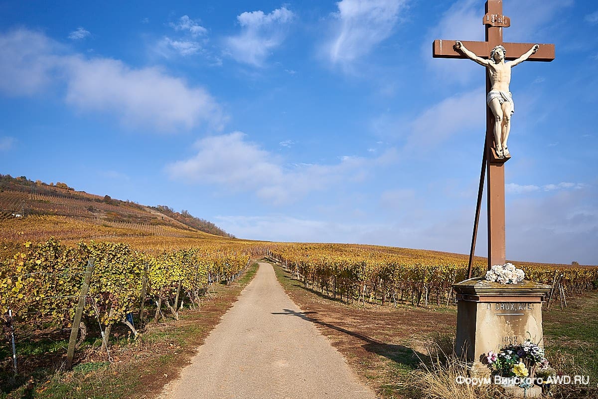 Рибовилле. Винная дорога Эльзаса