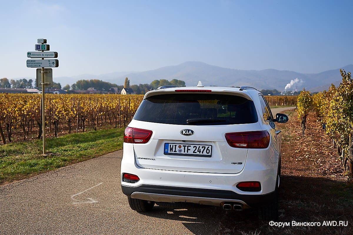 Рибовилле. Винная дорога Эльзаса