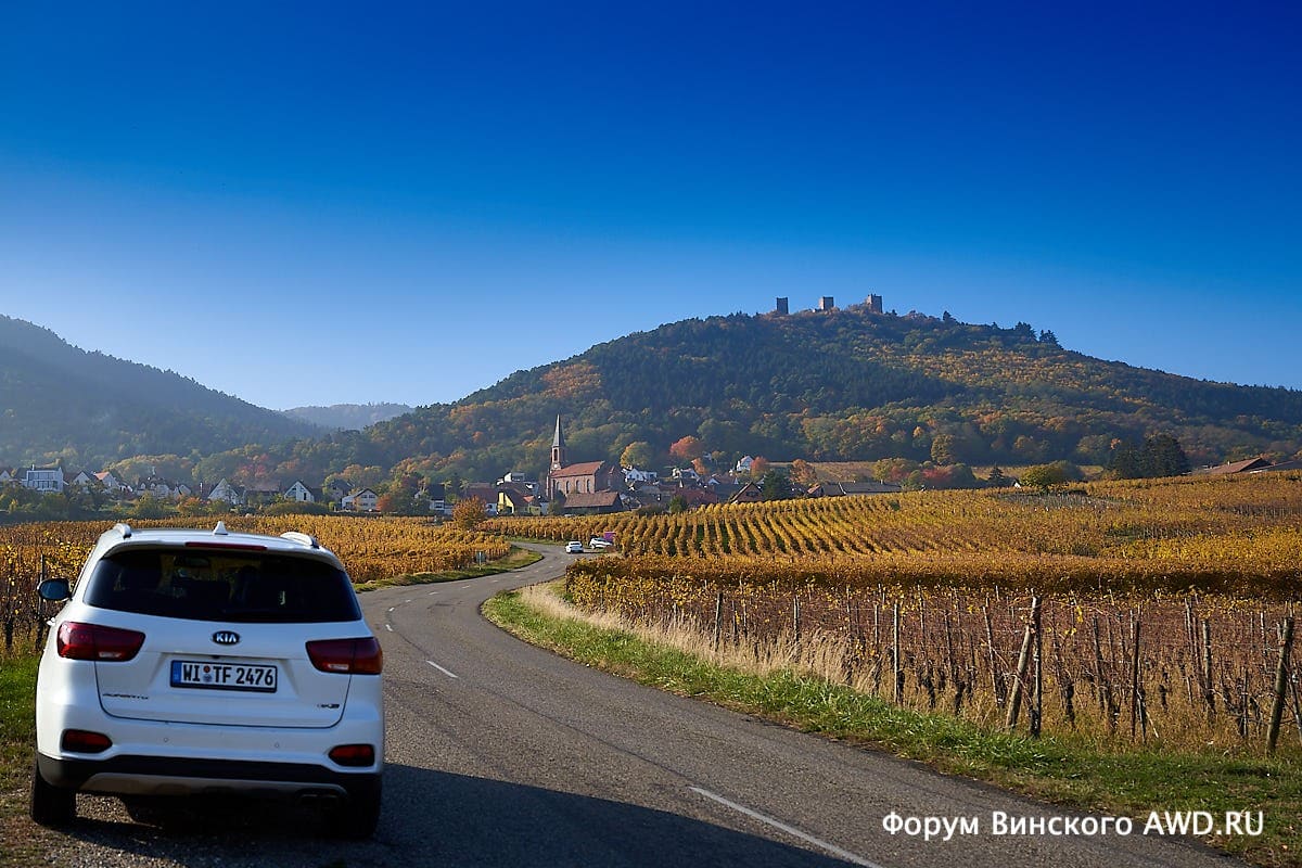 Винная дорога Эльзаса