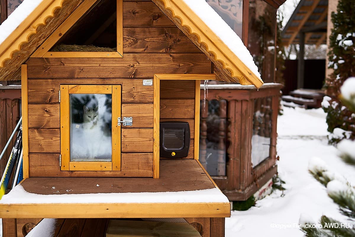 Винский. Итоги 2018