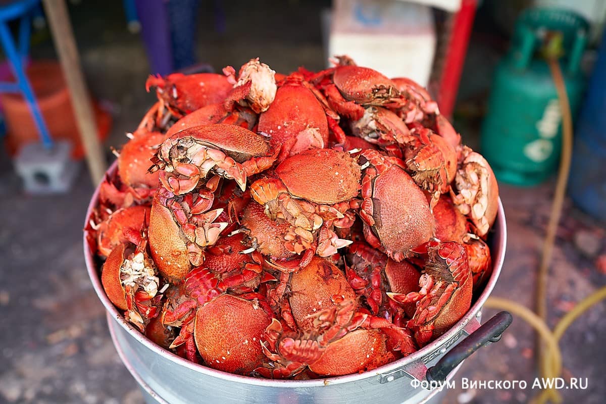 Красные крабы на Пхукете