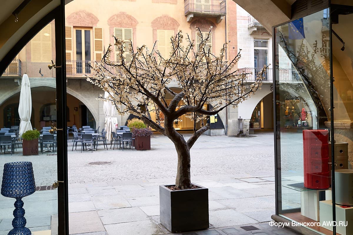 Кунео (Cuneo) Италия