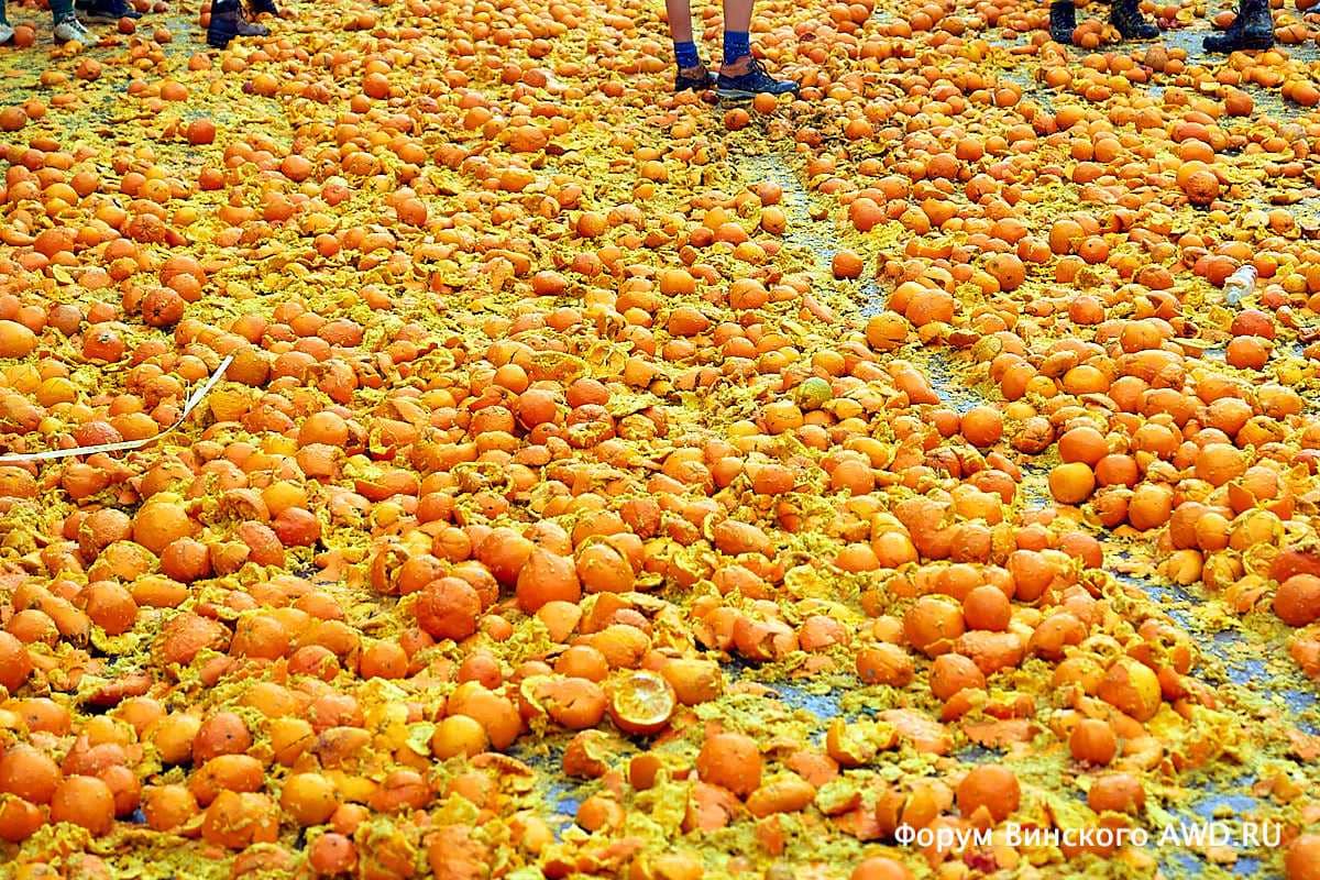Битва апельсинами в Италии