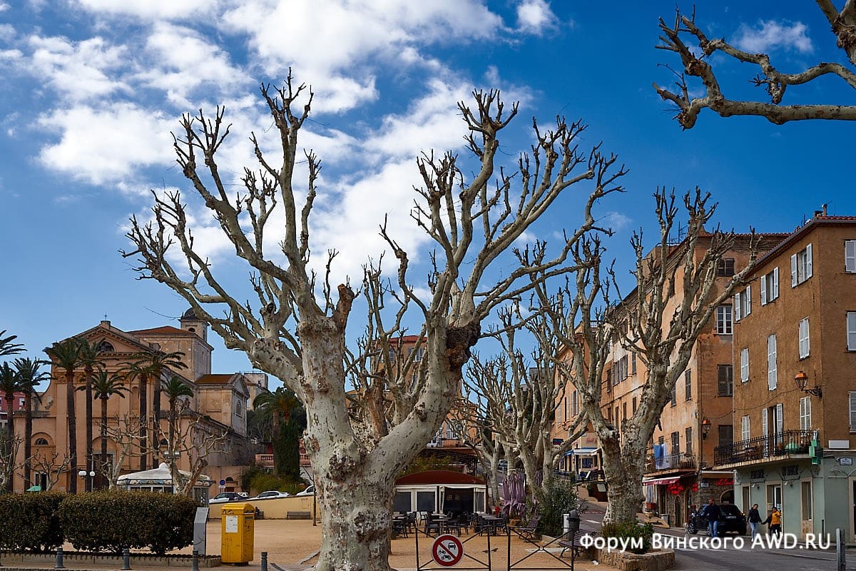 Корсика на арендованном авто
