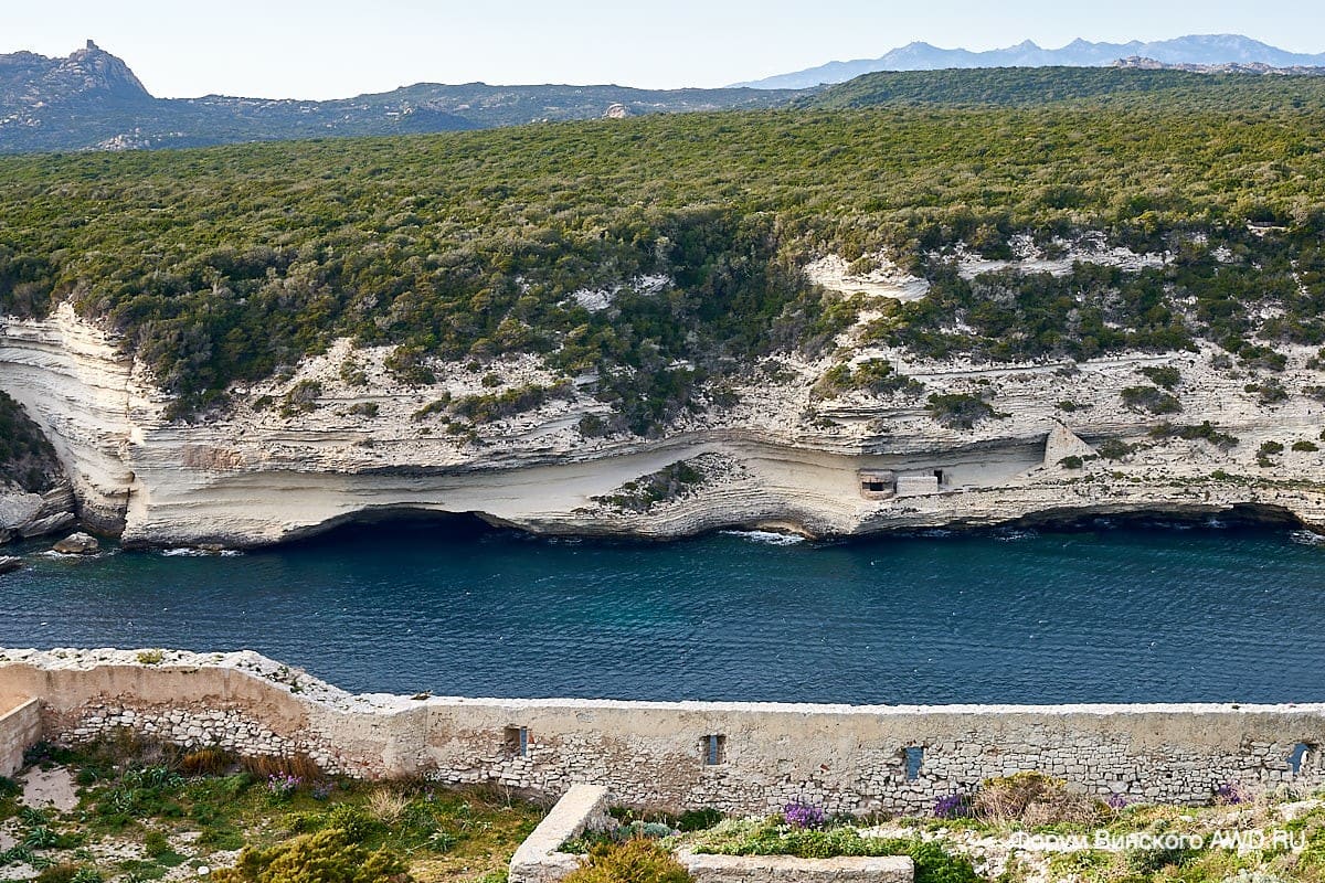 Бонифачо отзывы