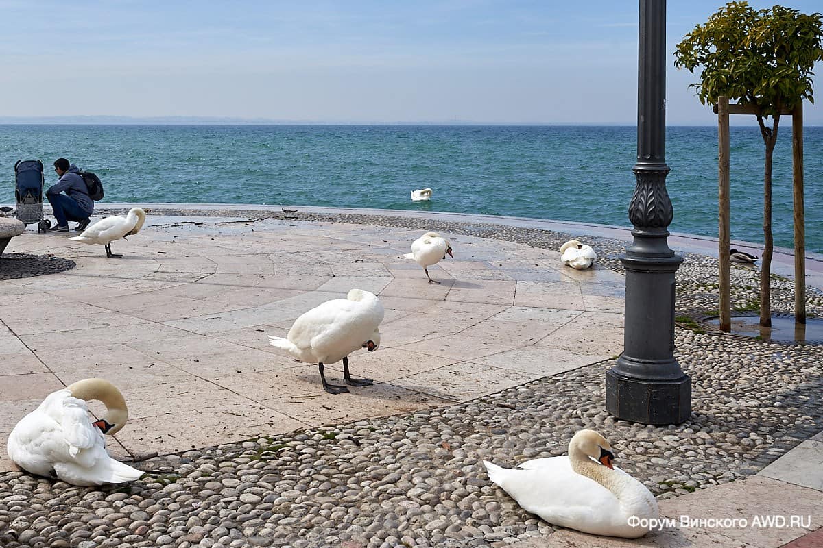 Лацизе на озере Гарда