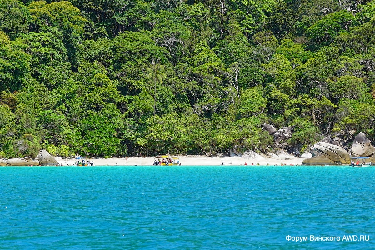 Романтик бич