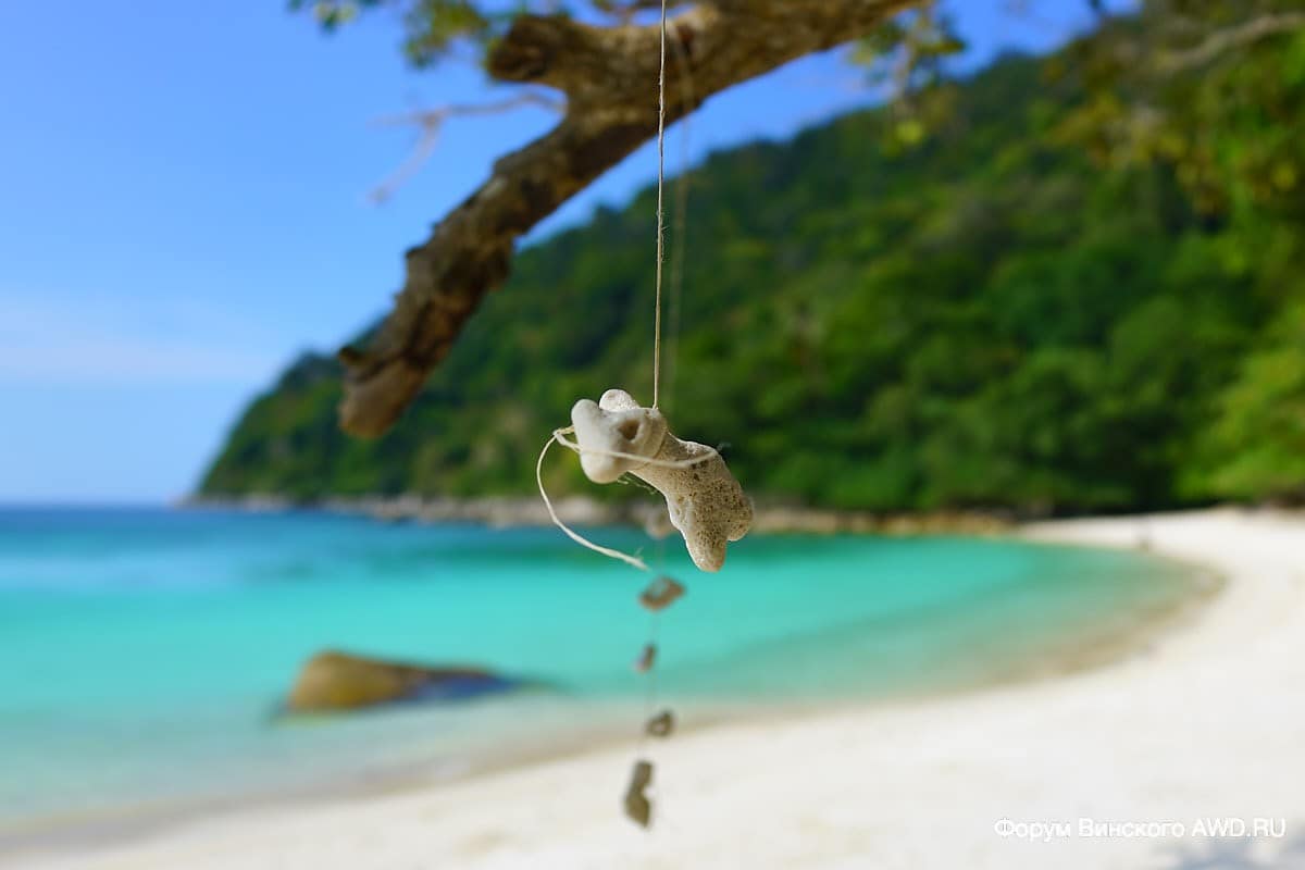 Turtle Beach Перхентианы