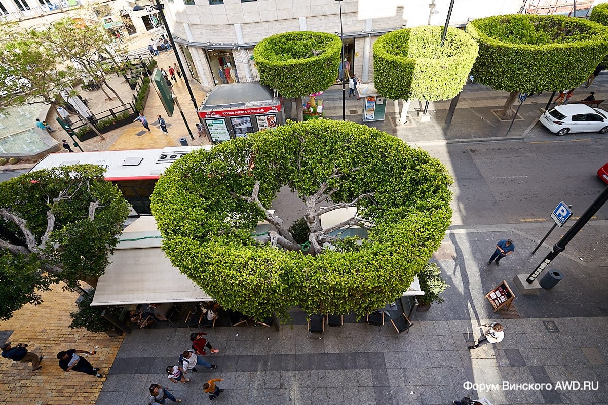 Альмерия апартаменты